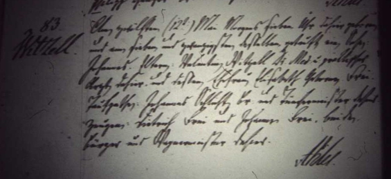 Birth Record of Johann Witzell